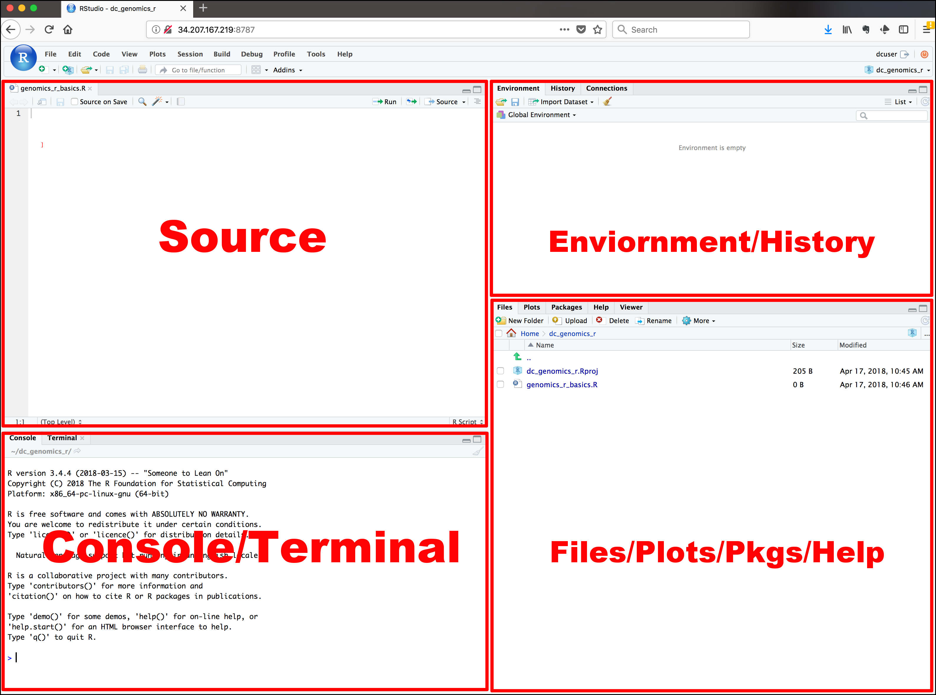 Introducing R and RStudio IDE – Intro to R and RStudio for Genomics